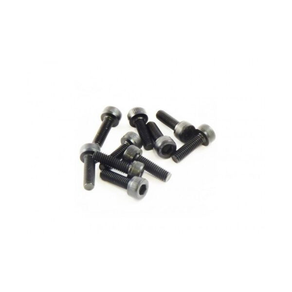 Parafuso m3x10mm (10)