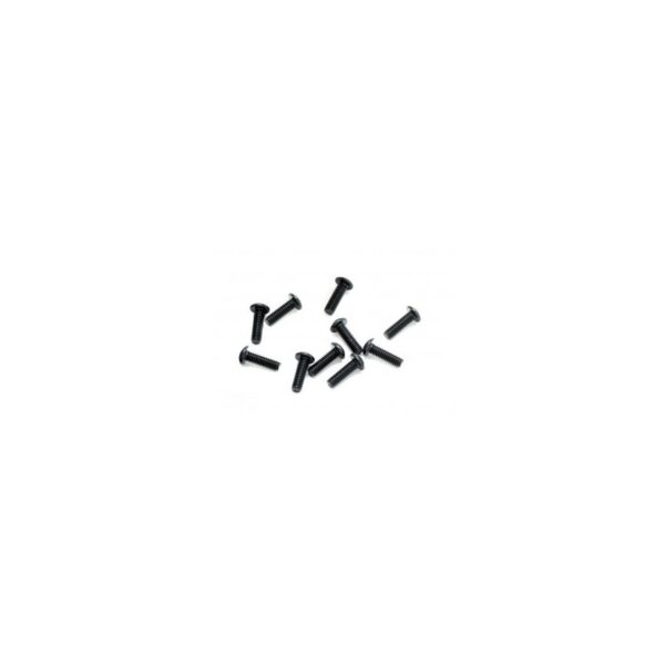 Parafuso sextavado OH/ST M2,5x8mm (10)