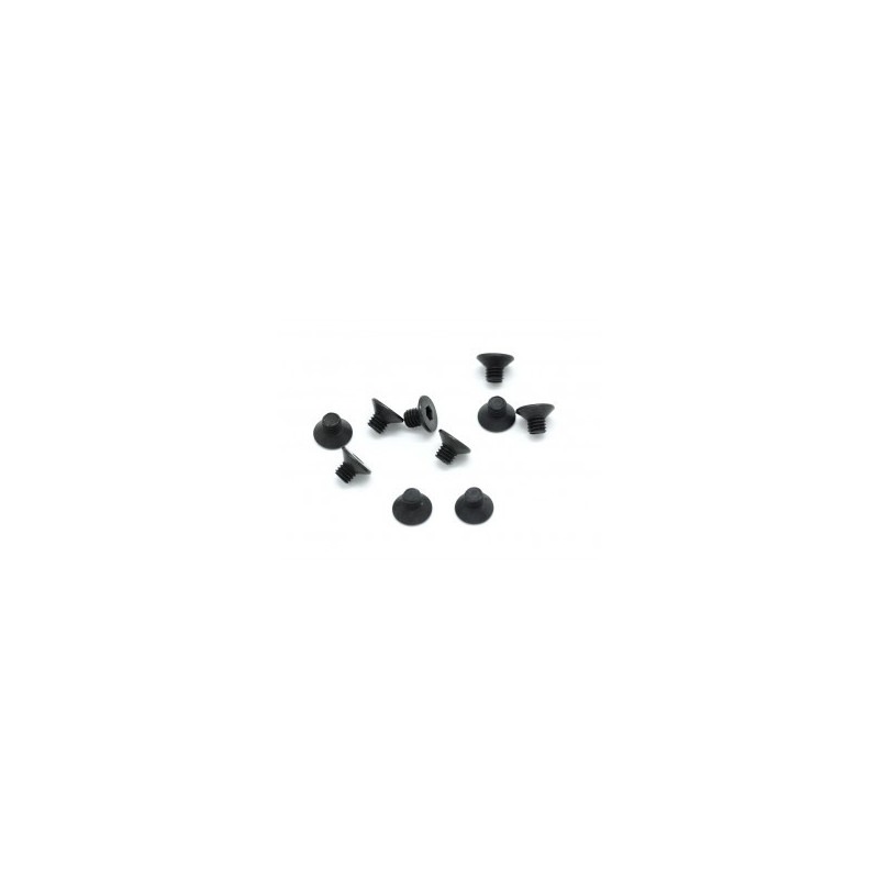 Parafuso HEX FH/ST M3x3mm (10)
