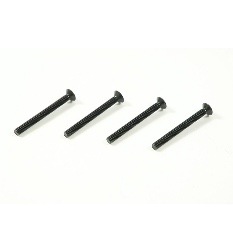 Parafuso FH/ST HEX M3x30mm (4)