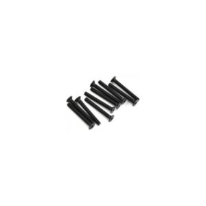 Parafuso FH/ST HEX M3x25mm (4)