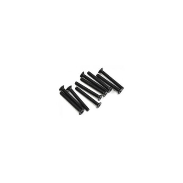 Parafuso FH/ST HEX M3x25mm (4)