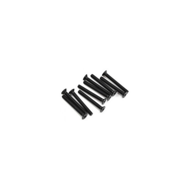 Parafuso FH/ST HEX M3x25mm (4)