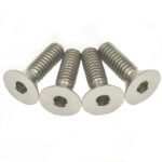 PARAFUSO 3X8mm TITANIO CAB.EXT.UMB. (4)